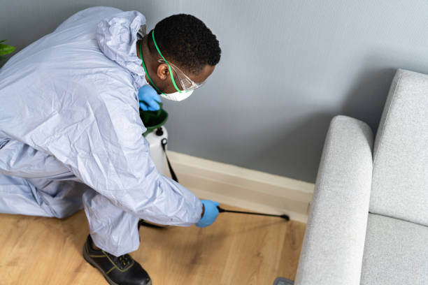 Professional Pest control in South Corning, NY